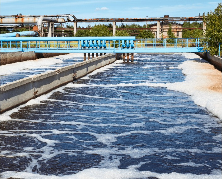 Processed Water